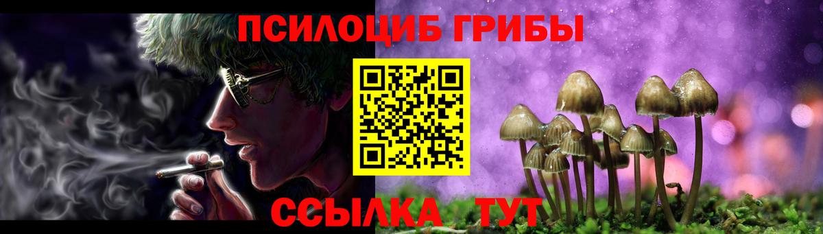 Крымск  Псилоцибиновые грибы ЛСД  Вход с VPN  Галлюциногенные грибы GOLDEN TEACHER 